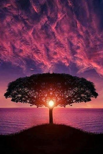 beautiful sunrise