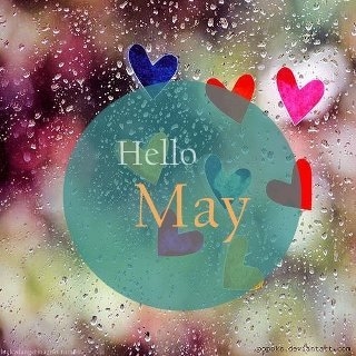Hello May Hello May
