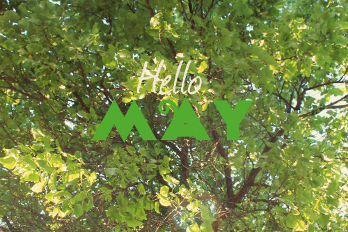 Hello May Hello May