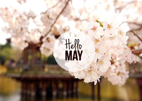 Hello May