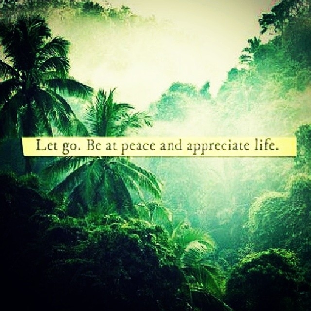 Let go, be at peace and appreciate life