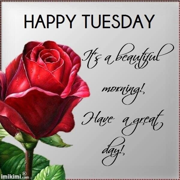 Happy Tuesday