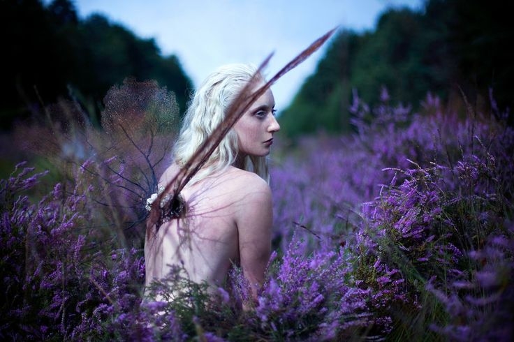 Euphaeidae (Gossamer Wing) by Kirsty Mitchell
