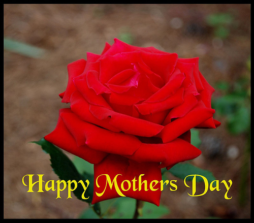 Happy Mothers Day