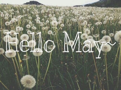 Hello May Hello May
