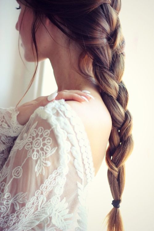 Beautiful braid ponytail