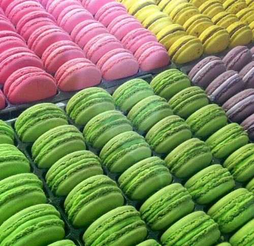 Sweet Macaroons Sweet Macaroons