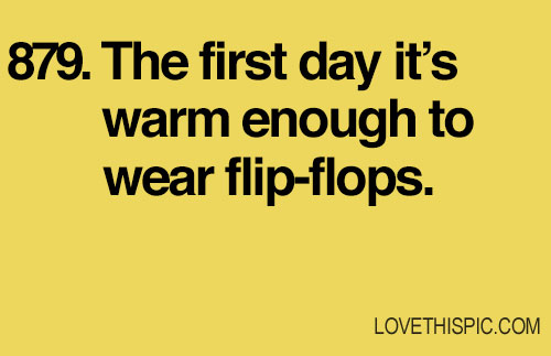879-flip-flops 879-flip-flops