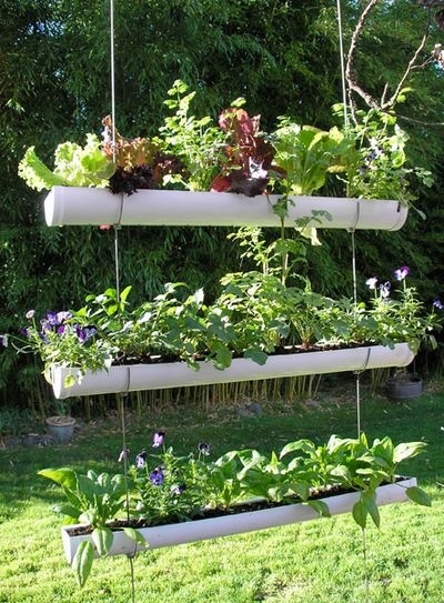 Hanging Gutter Herb Garden Hanging Gutter Herb Garden