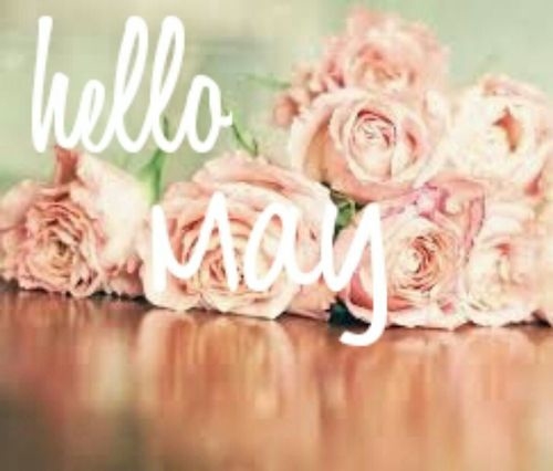 Hello May Hello May
