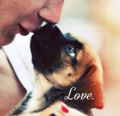 Love