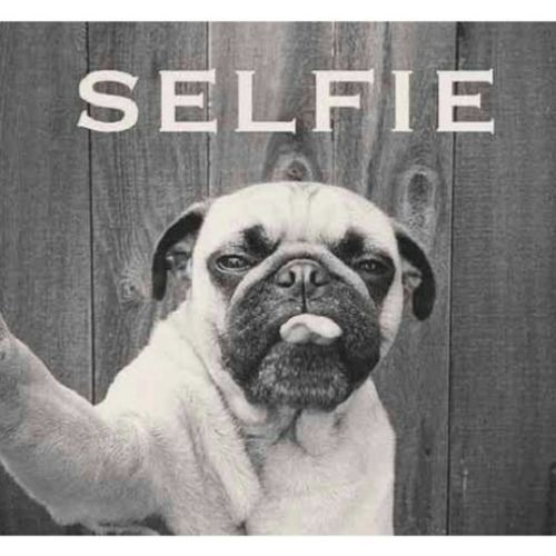 Selfie