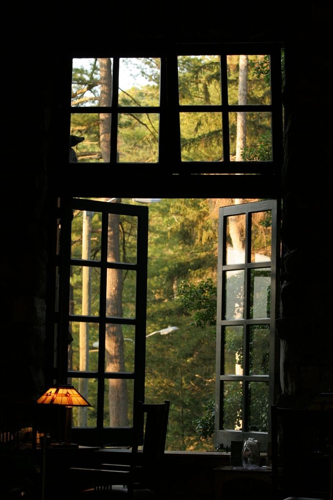 Window on Nature Window on Nature
