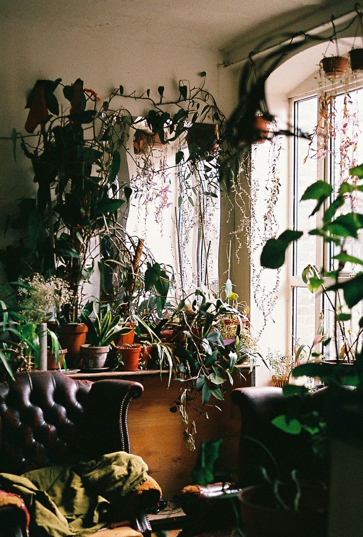 Bring Nature Indoors