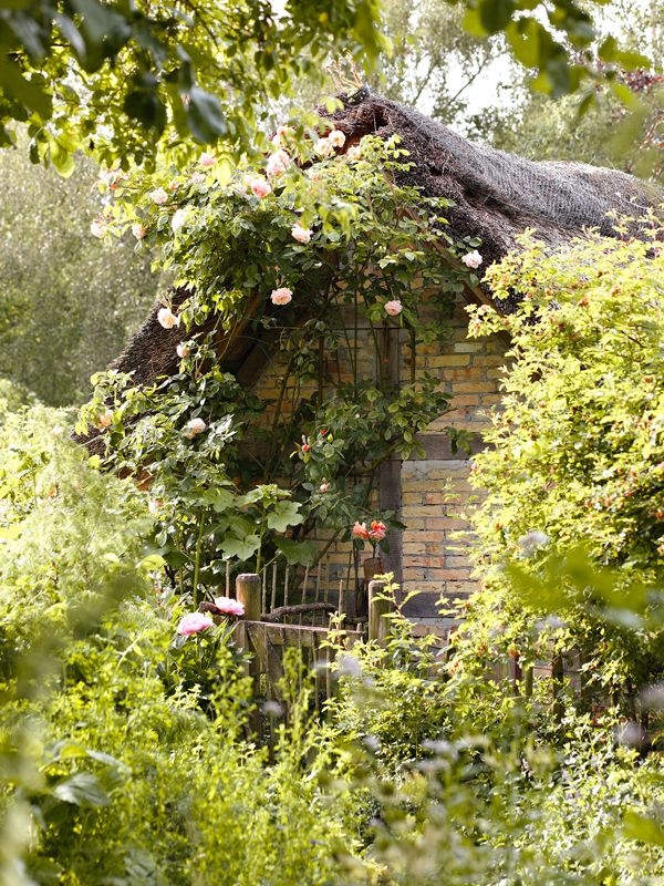 Forest Witch Cottage
