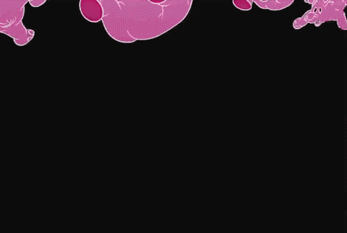 Falling Elephants Falling Elephants