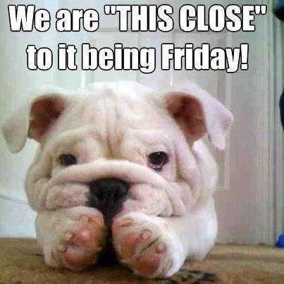Thursday - We are this close to it being Friday Thursday - We are this close to it being Friday