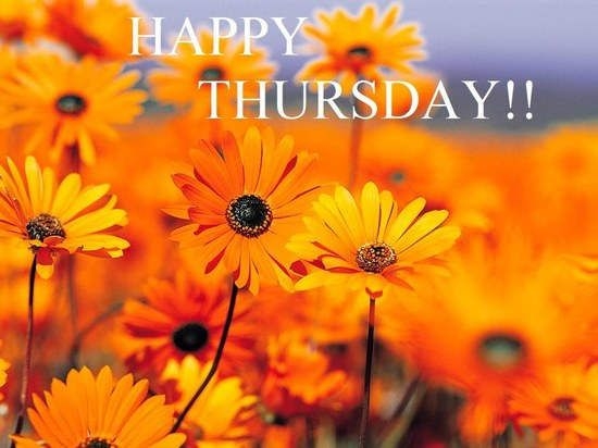 Happy Thursday Happy Thursday