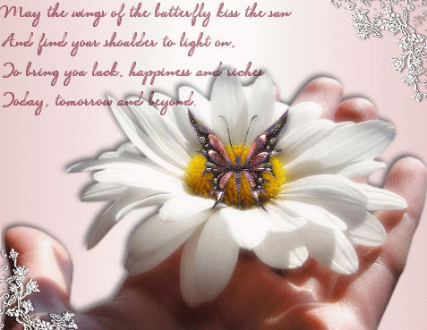 May the wings of the butterfly.... May the wings of the butterfly....