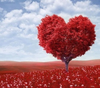 Heart Tree