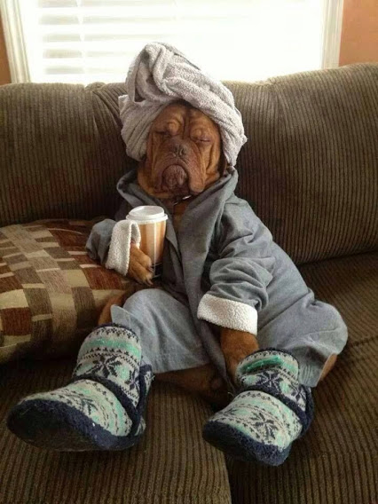 Morning Dog