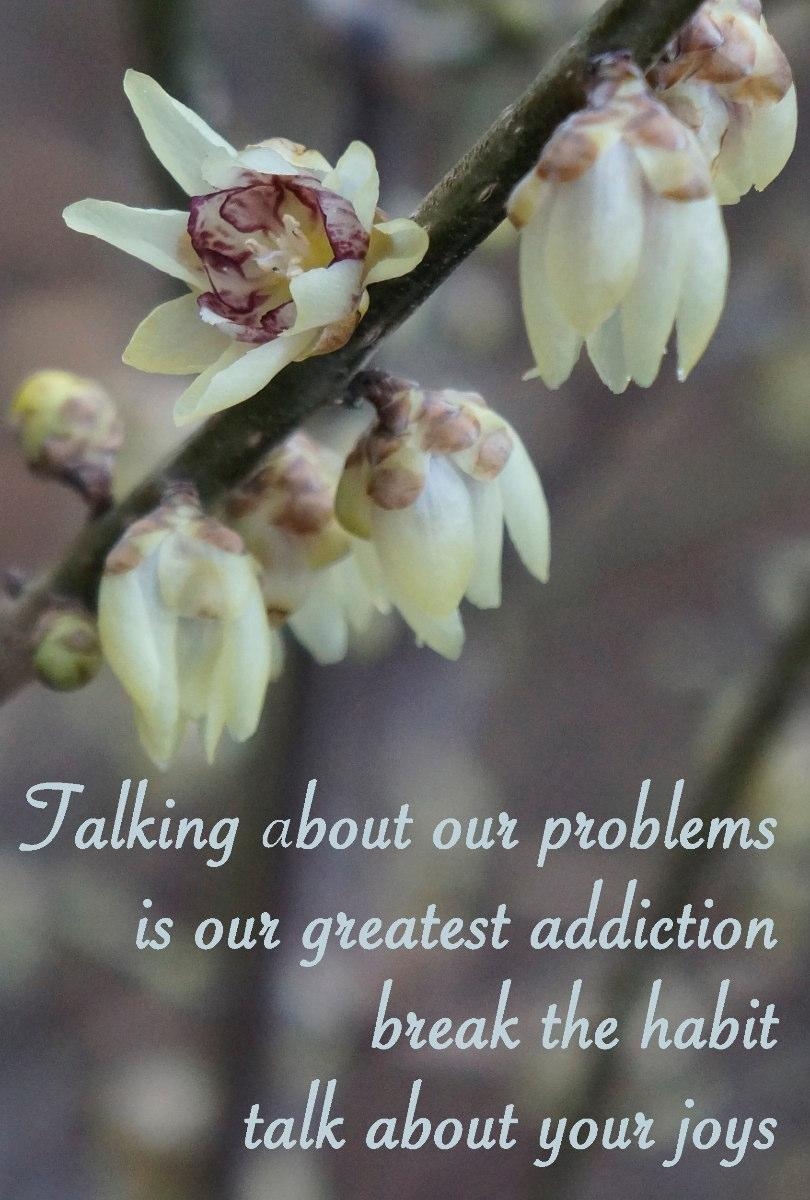 Talk about your joys Talk about your joys