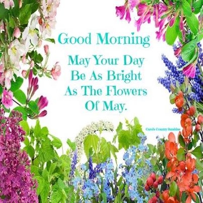 Good Morning