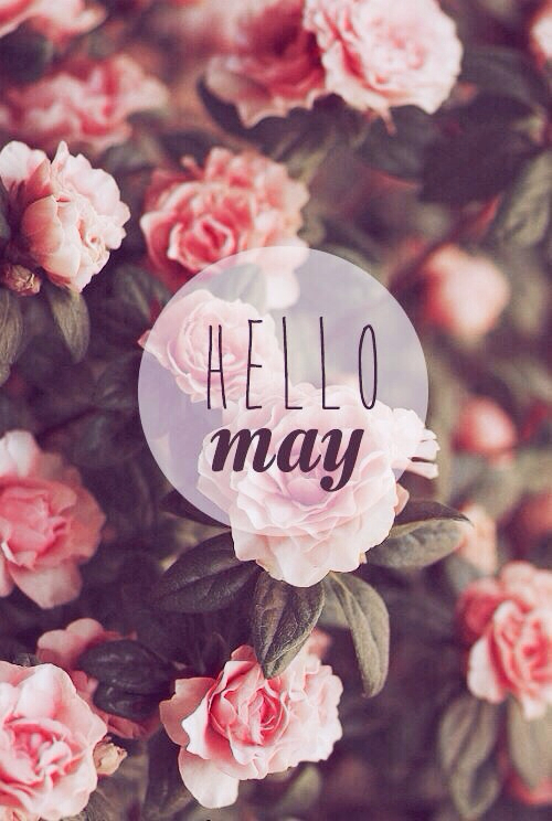 Hello May Hello May