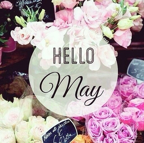 Hello May Hello May