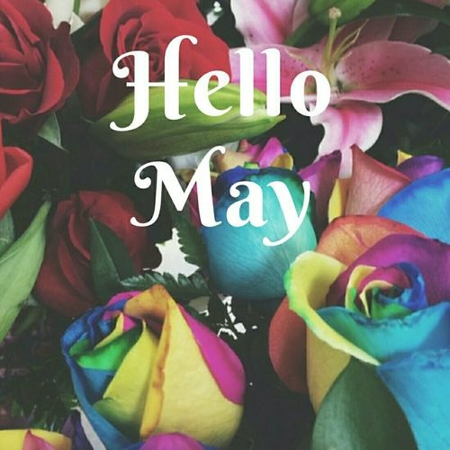 Hello May Hello May