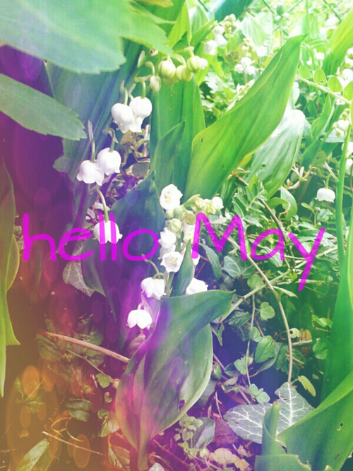 Hello May Hello May