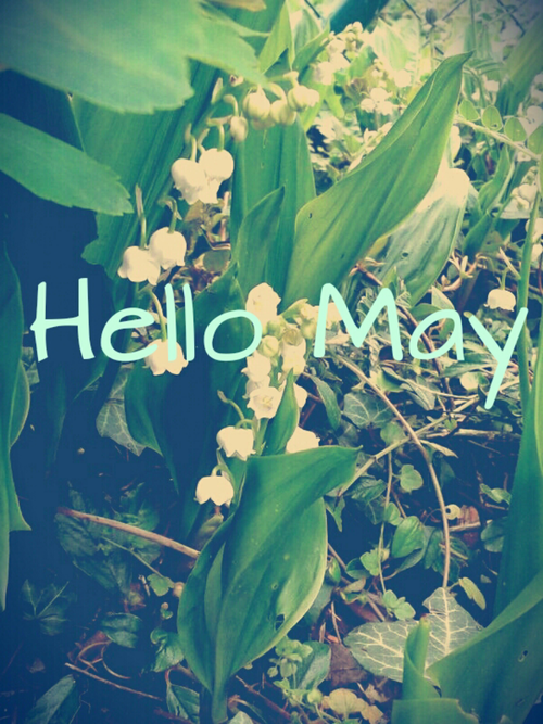 Hello May