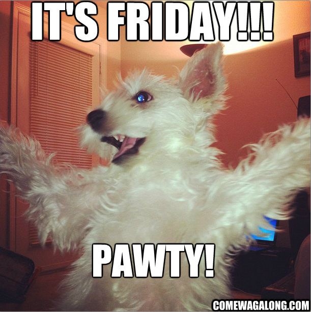 Its friday, pawty! Its friday, pawty!