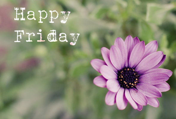Happy Friday Happy Friday