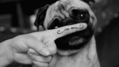 Pug Mustache