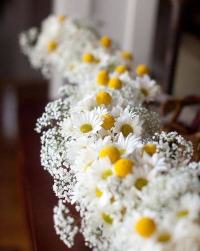 Daisies & Baby's Breath