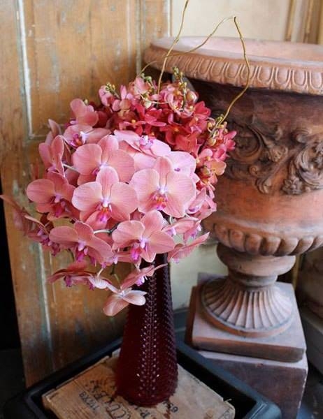 Pink Hydrangeas Pink Hydrangeas