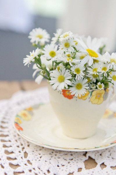 Cup of Tiny Daisies Cup of Tiny Daisies
