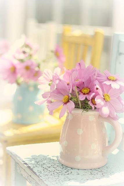 Pink Daisies in Cute Polka Dot Pitcher Pink Daisies in Cute Polka Dot Pitcher