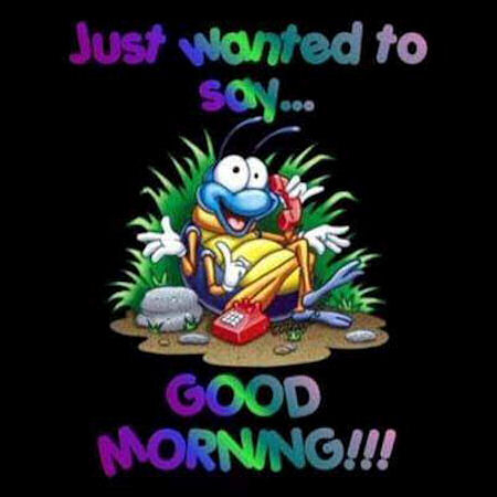 Good Morning