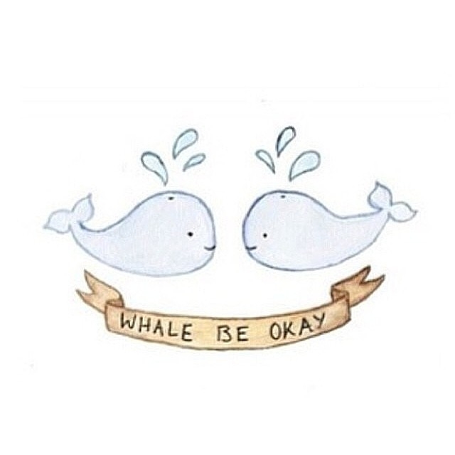 Whale be okay Whale be okay