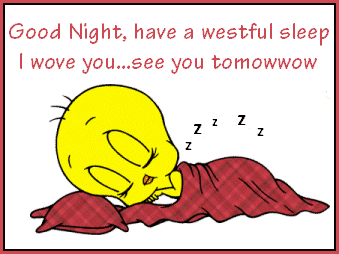 Good Night Good Night