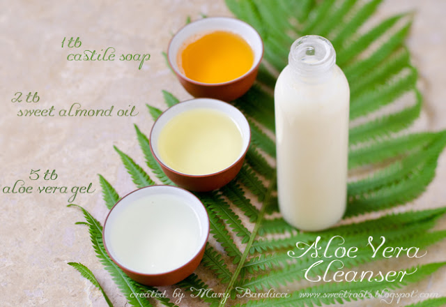 Aloe Vera cleanser