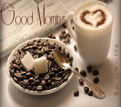 Good Morning