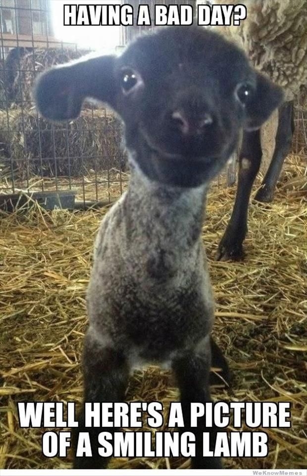 Smiling lamp