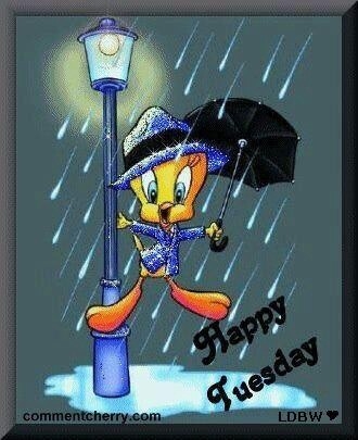 Happy Tuesday