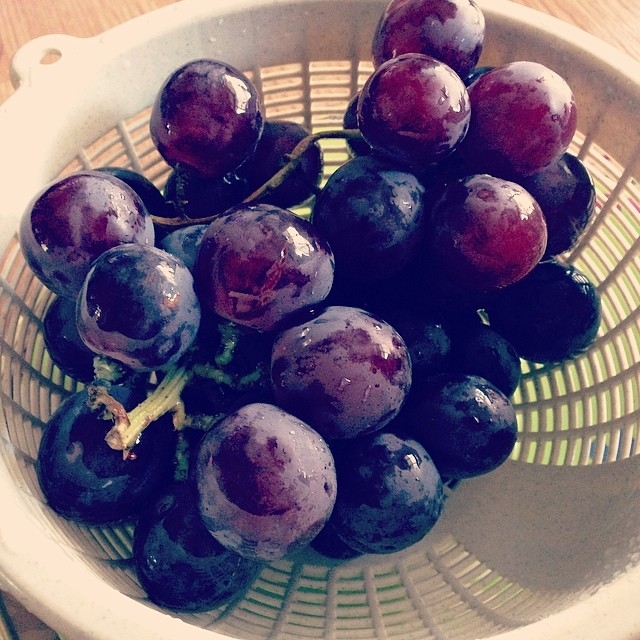 Fresh grapes Fresh grapes