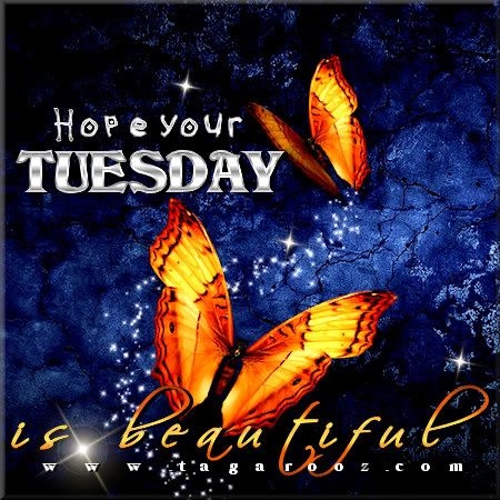 Hope your Tuesday is Beautiful Hope your Tuesday is Beautiful