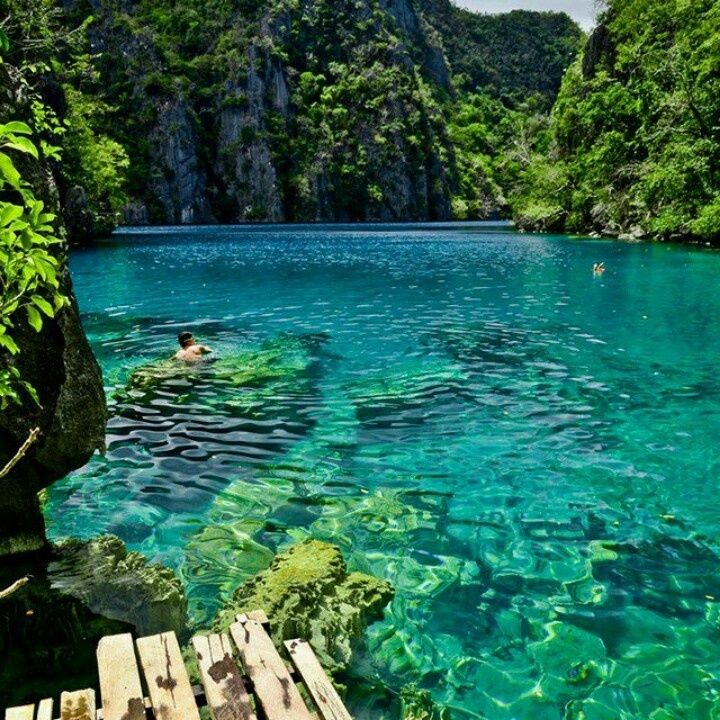 Blue Oasis