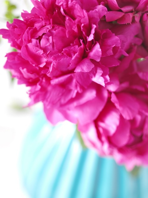 Pink Peonies